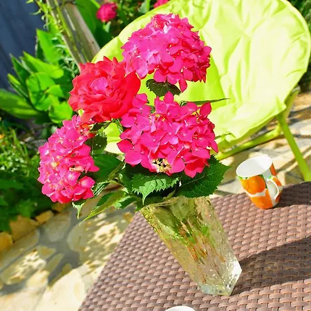 아파트 아파트먼트 베키 3 *